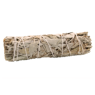 Baltasis salavijas White Sage