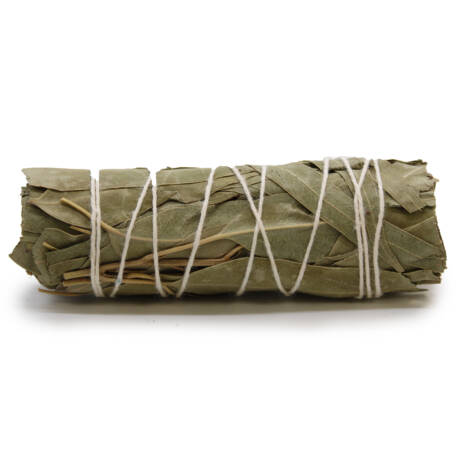 Baltasis salavijas su eukaliptu White Sage Eucalyptus
